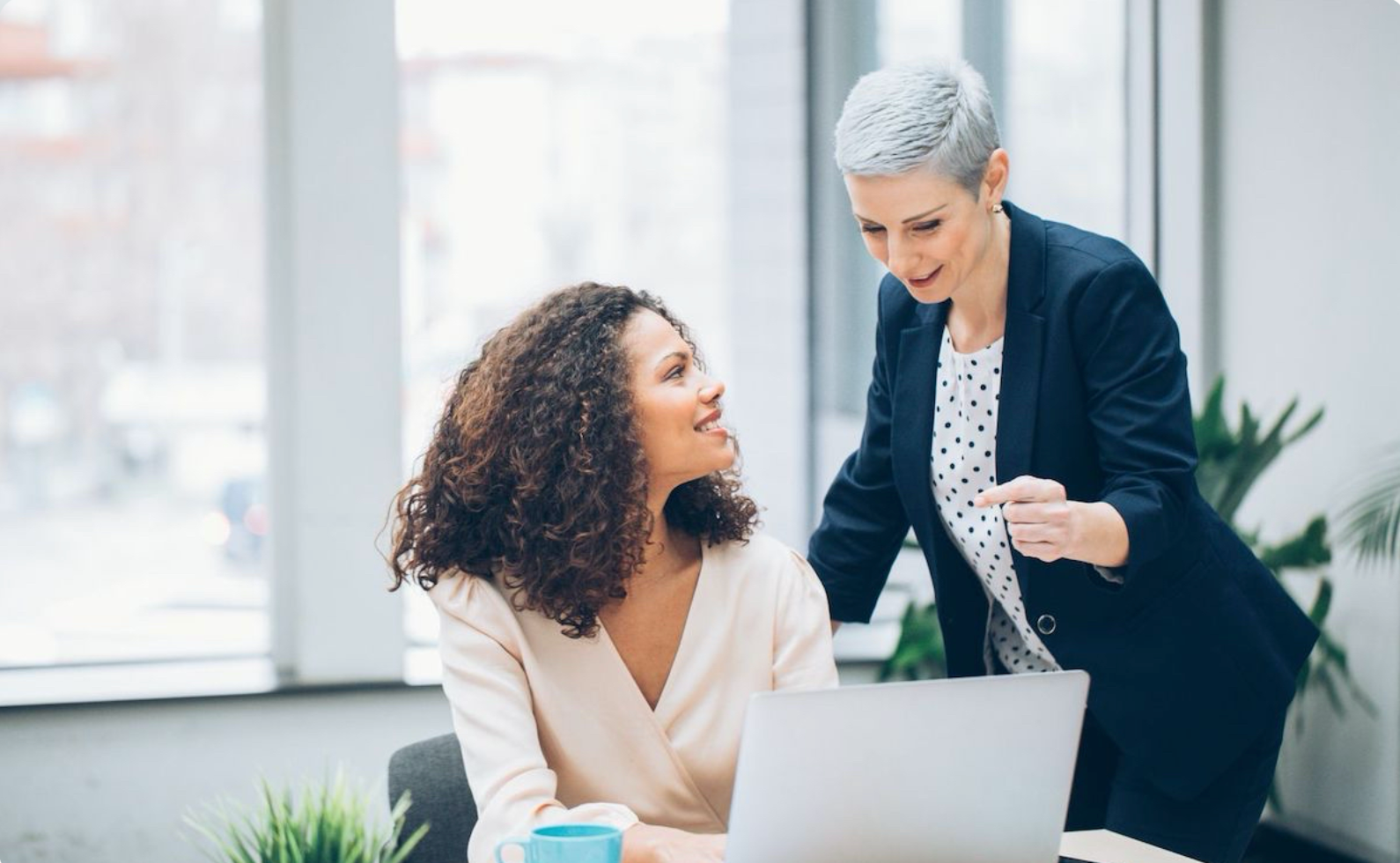 看看别人走过的路